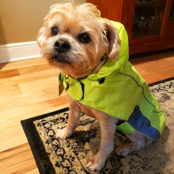 ❤️😍 Host Pick! 🐕❤️  Rain Jacket With Reflective Accents L - Picture 1 of 12